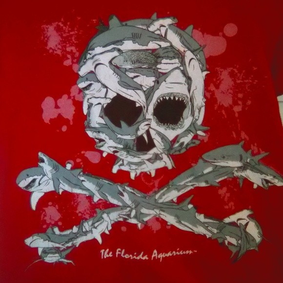 Boys Skull Florida Aquarium Tee Shirt Size 4 - Picture 2 of 2
